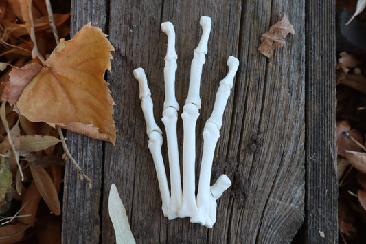 Partial Bobcat Paw Articulation