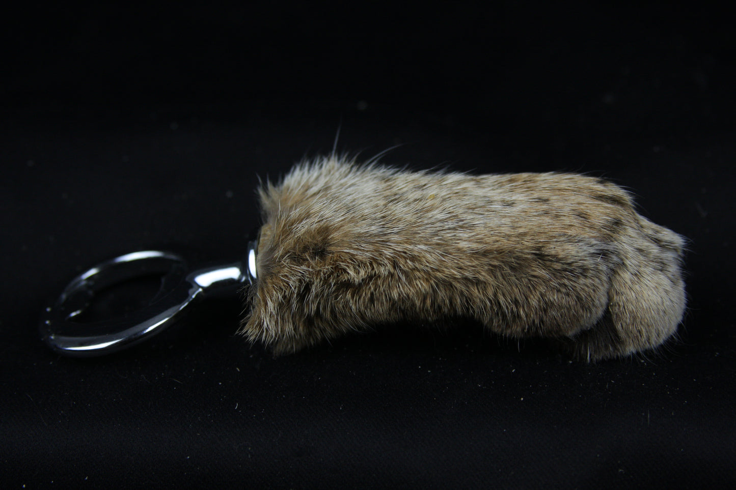 Bobcat Paw Bottle Opener