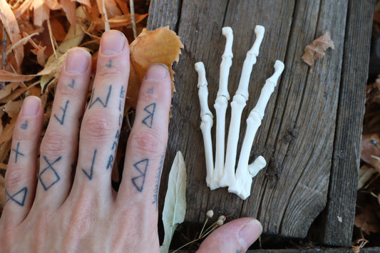Partial Bobcat Paw Articulation