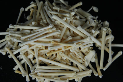Craft Phalange Lot (20)