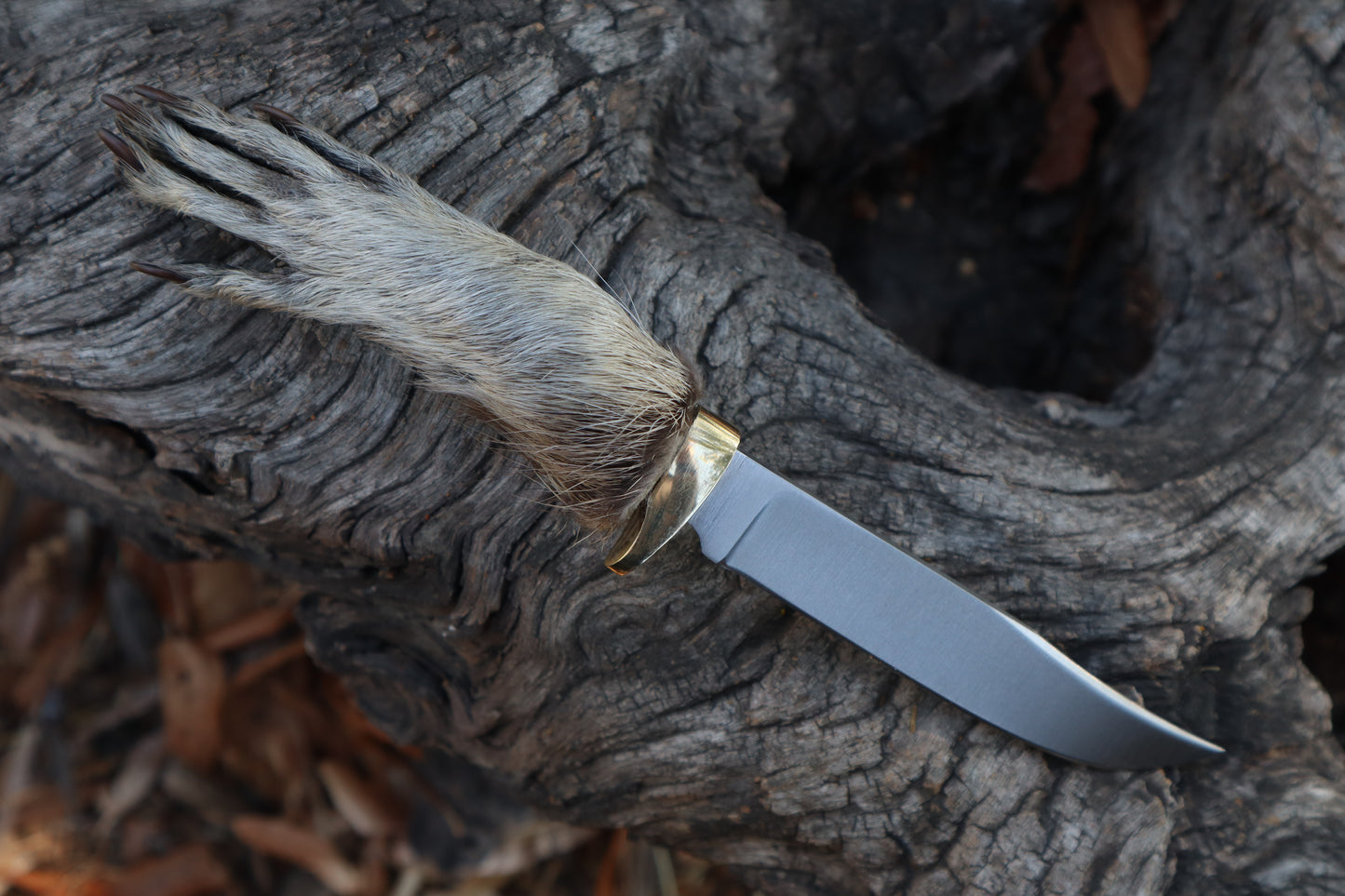 Raccoon Paw Athame