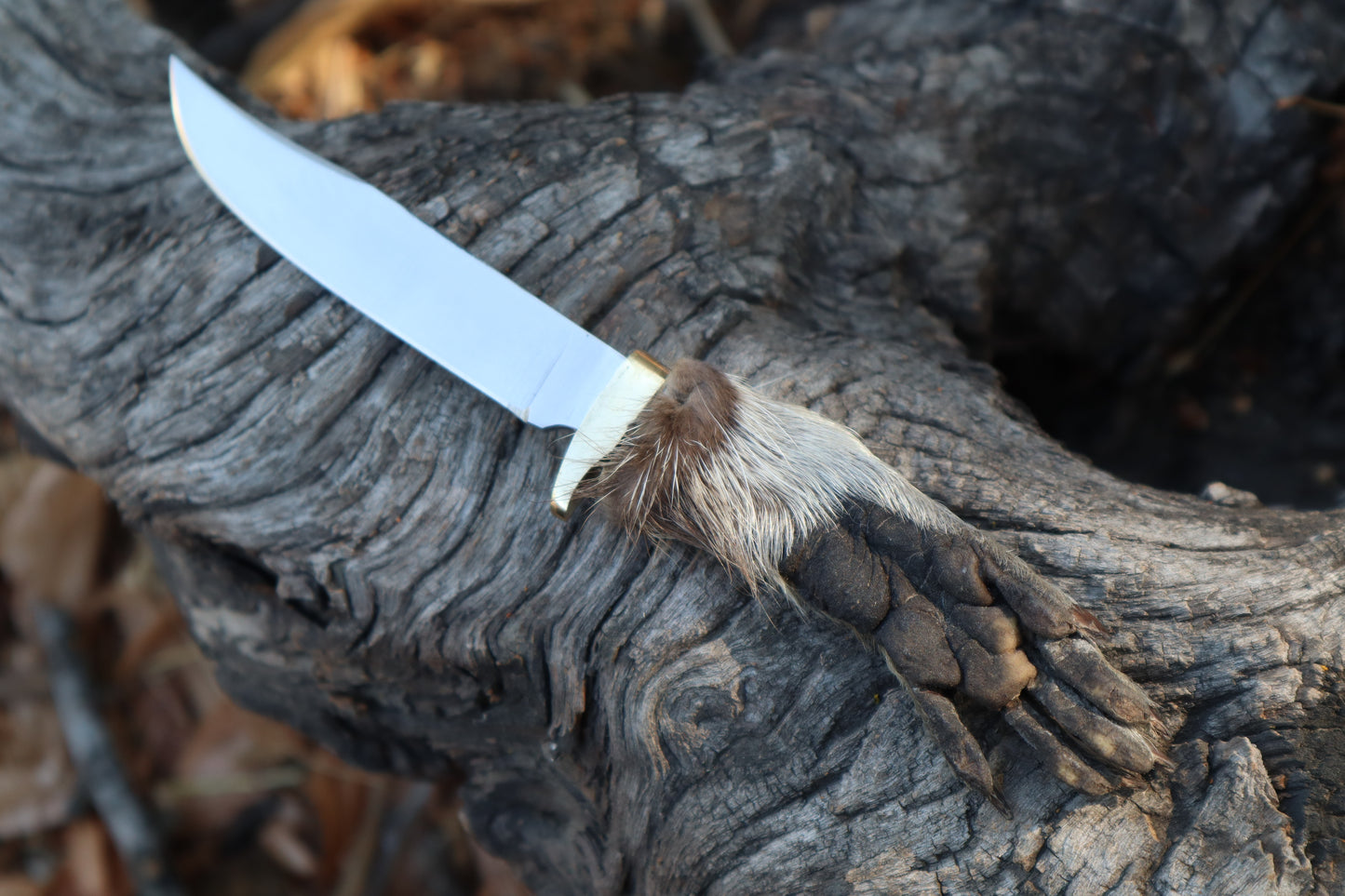 Raccoon Paw Athame