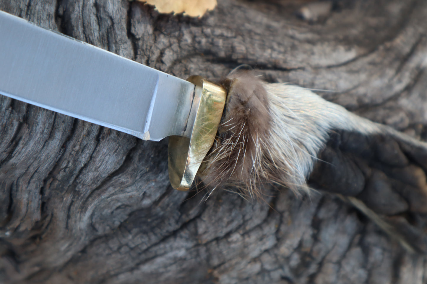 Raccoon Paw Athame