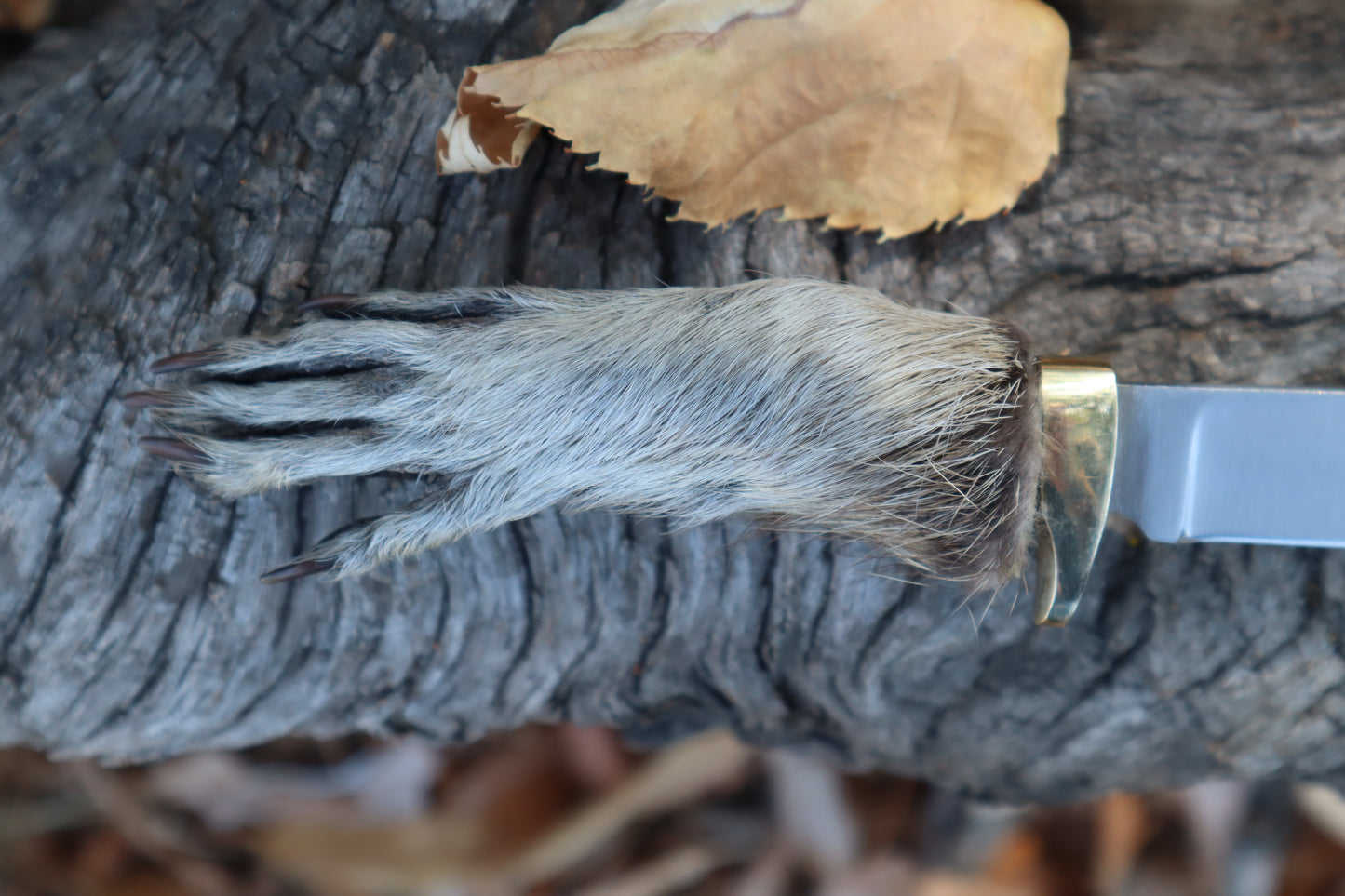 Raccoon Paw Athame