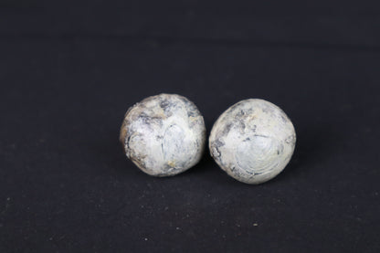 Dry Preserved Bobcat Eyes