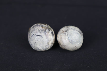 Dry Preserved Bobcat Eyes