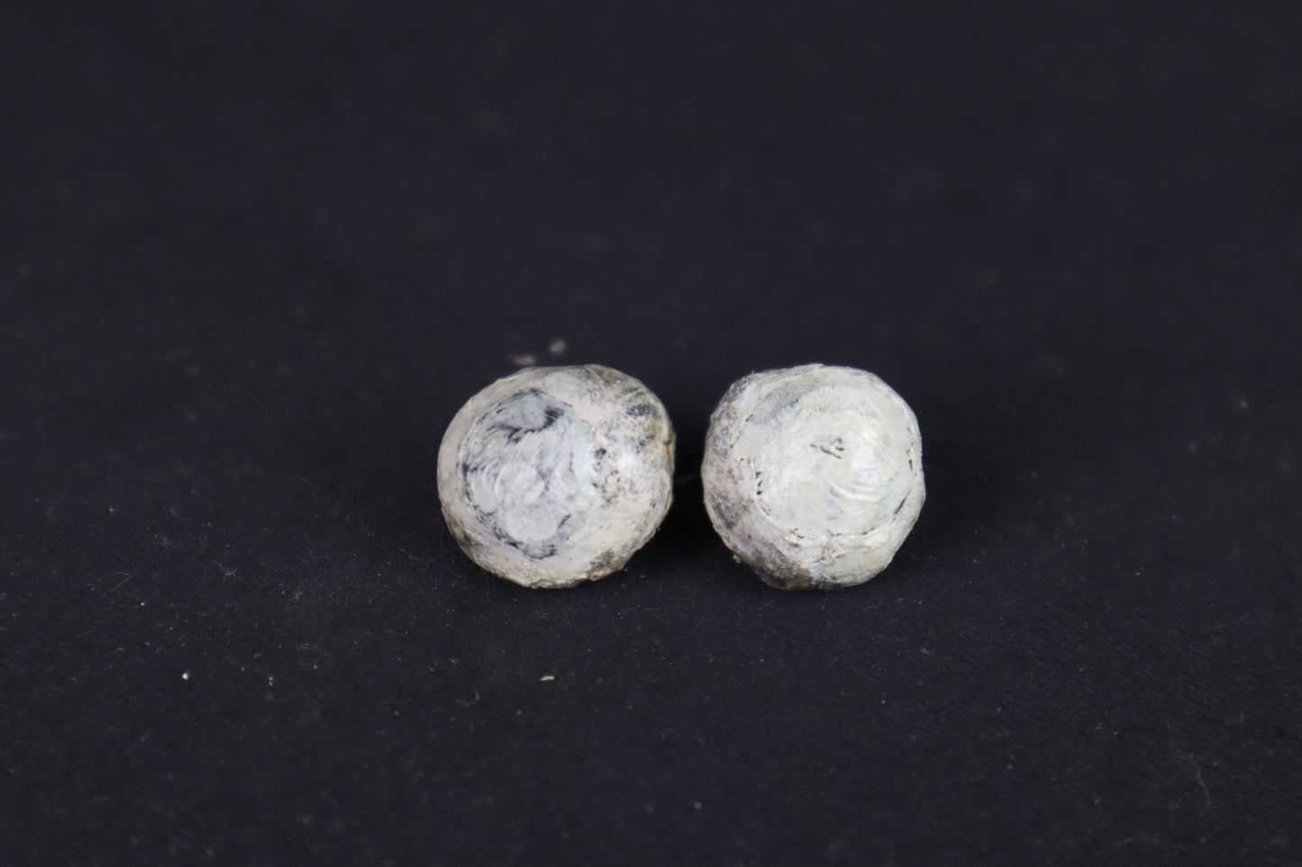 Dry Preserved Red Fox Eyes