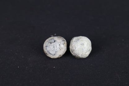 Dry Preserved Red Fox Eyes