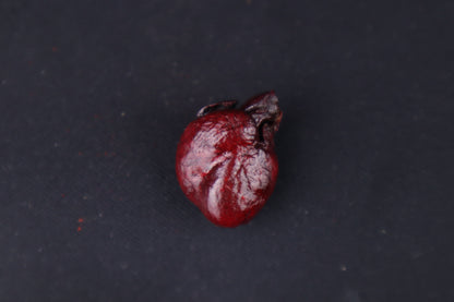Dry Preserved Mink Heart