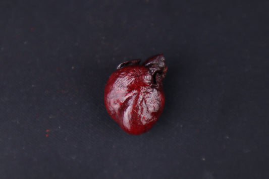 Dry Preserved Mink Heart