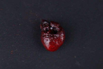 Dry Preserved Mink Heart