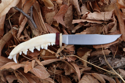 Red Fox Mandible Knife