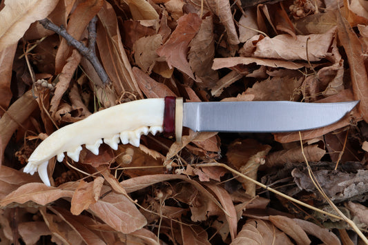 Red Fox Mandible Knife
