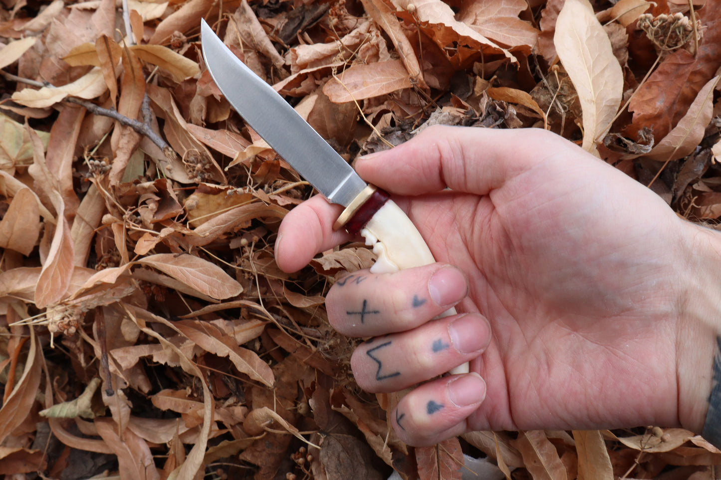Red Fox Mandible Knife