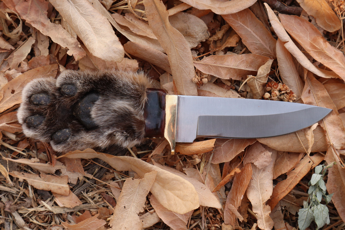 Bobcat Paw Knife