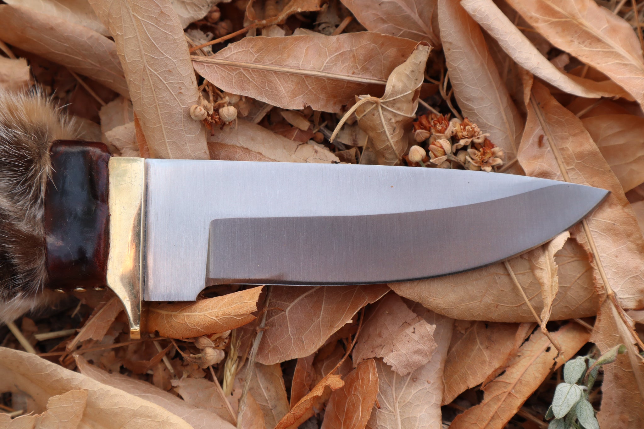 Bobcat Paw Knife