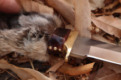 Bobcat Paw Knife