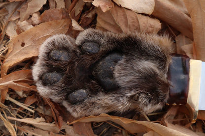 Bobcat Paw Knife
