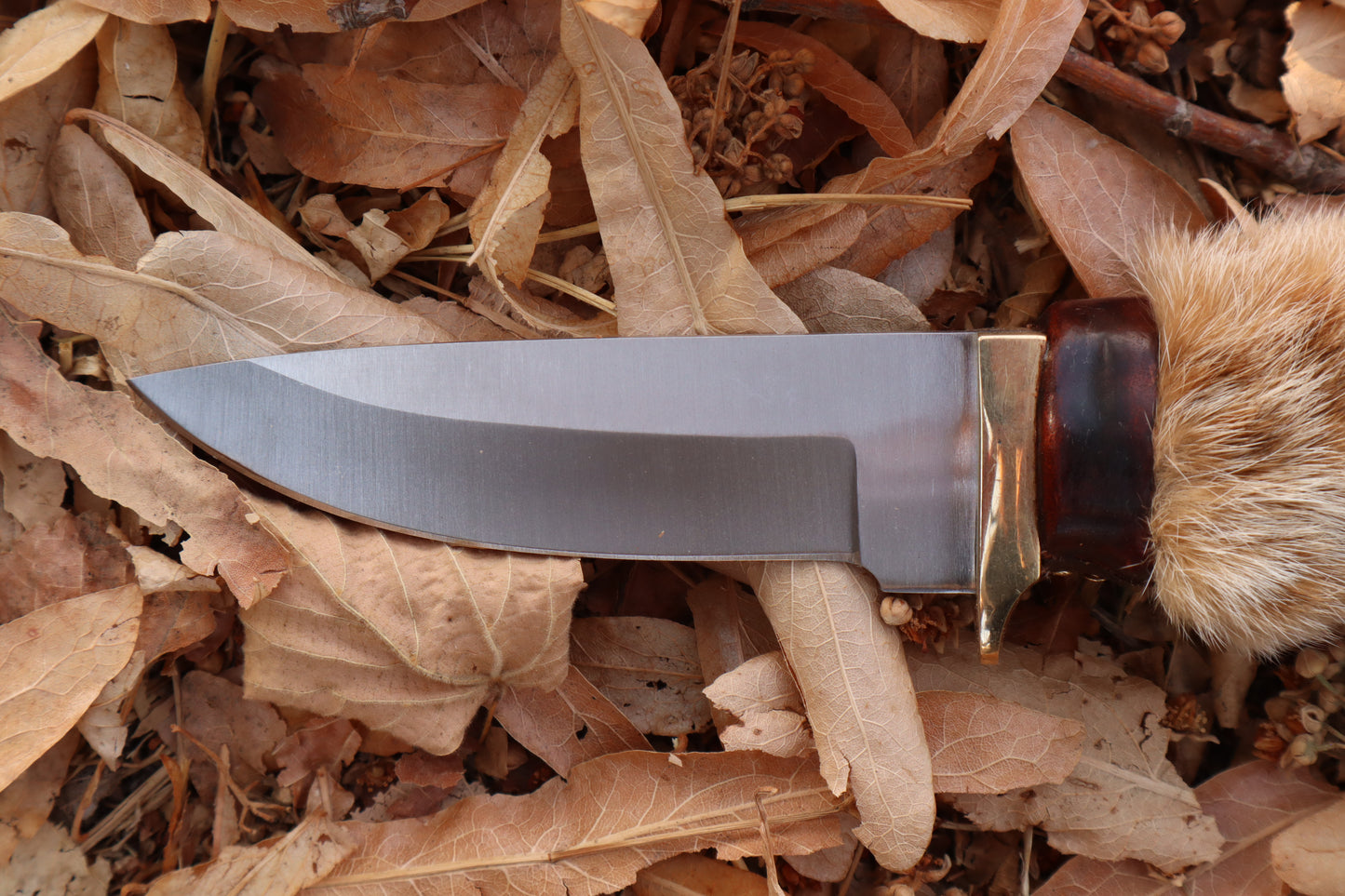 Bobcat Paw Knife