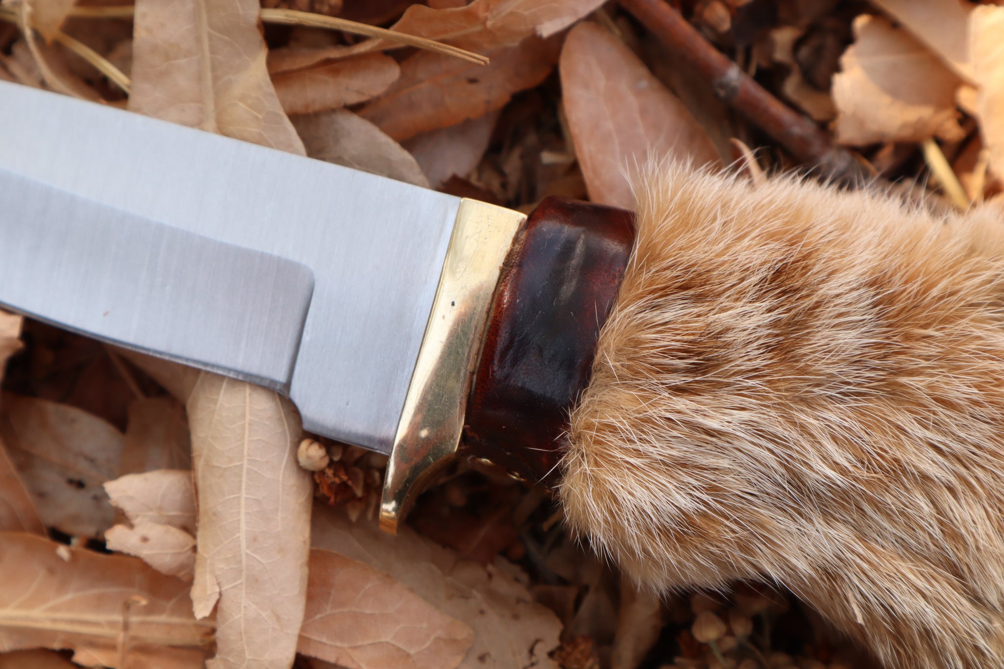 Bobcat Paw Knife