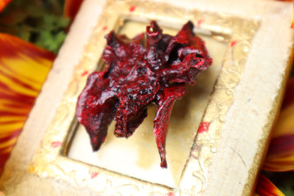 Dry Preserved Mink Lungs in Antique Frame