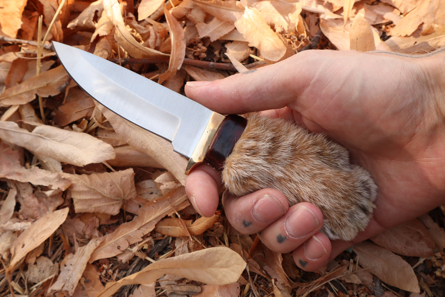 Bobcat Paw Knife