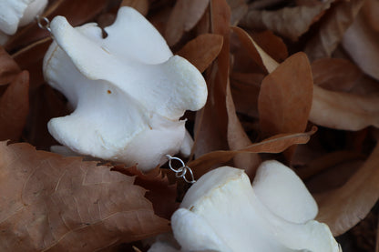 Fluid Scottish Highland Steer Tail Articulation with Ouroboros Ring