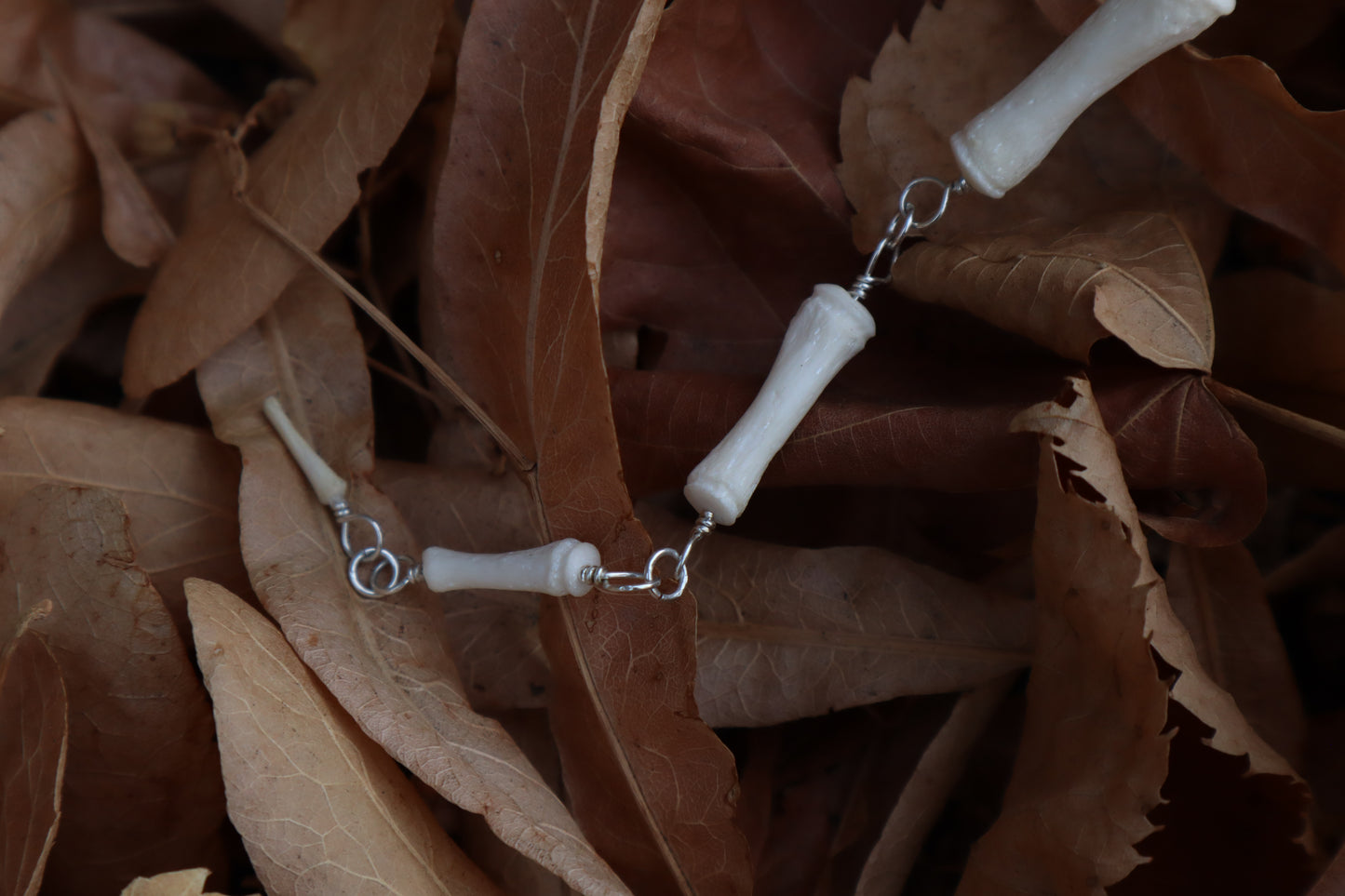 Fluid Scottish Highland Steer Tail Articulation with Ouroboros Ring