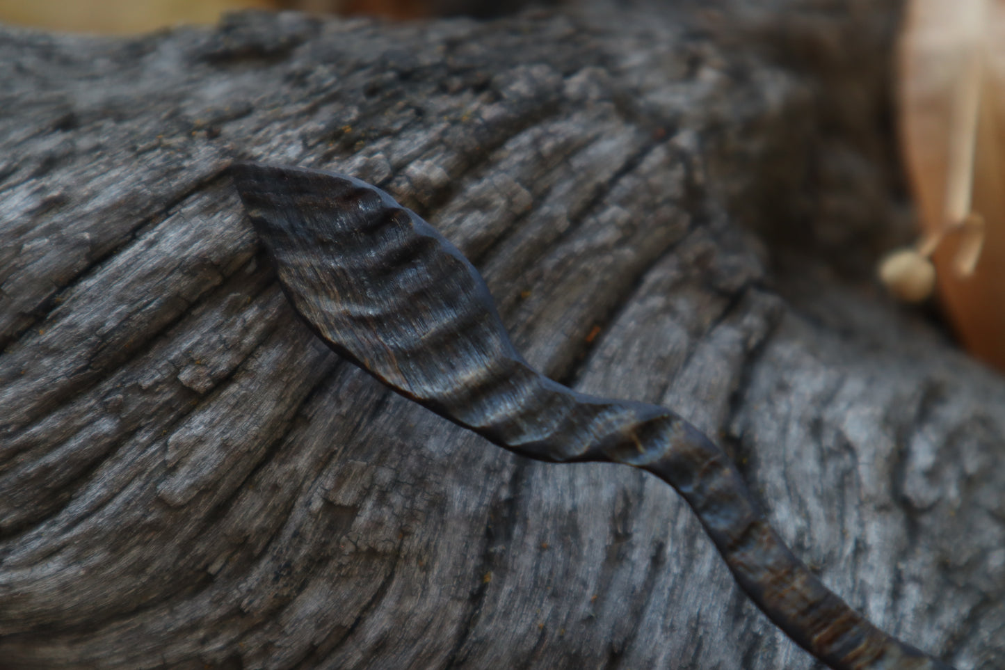 Hagall Leaf Goat Horn Offering Spoon