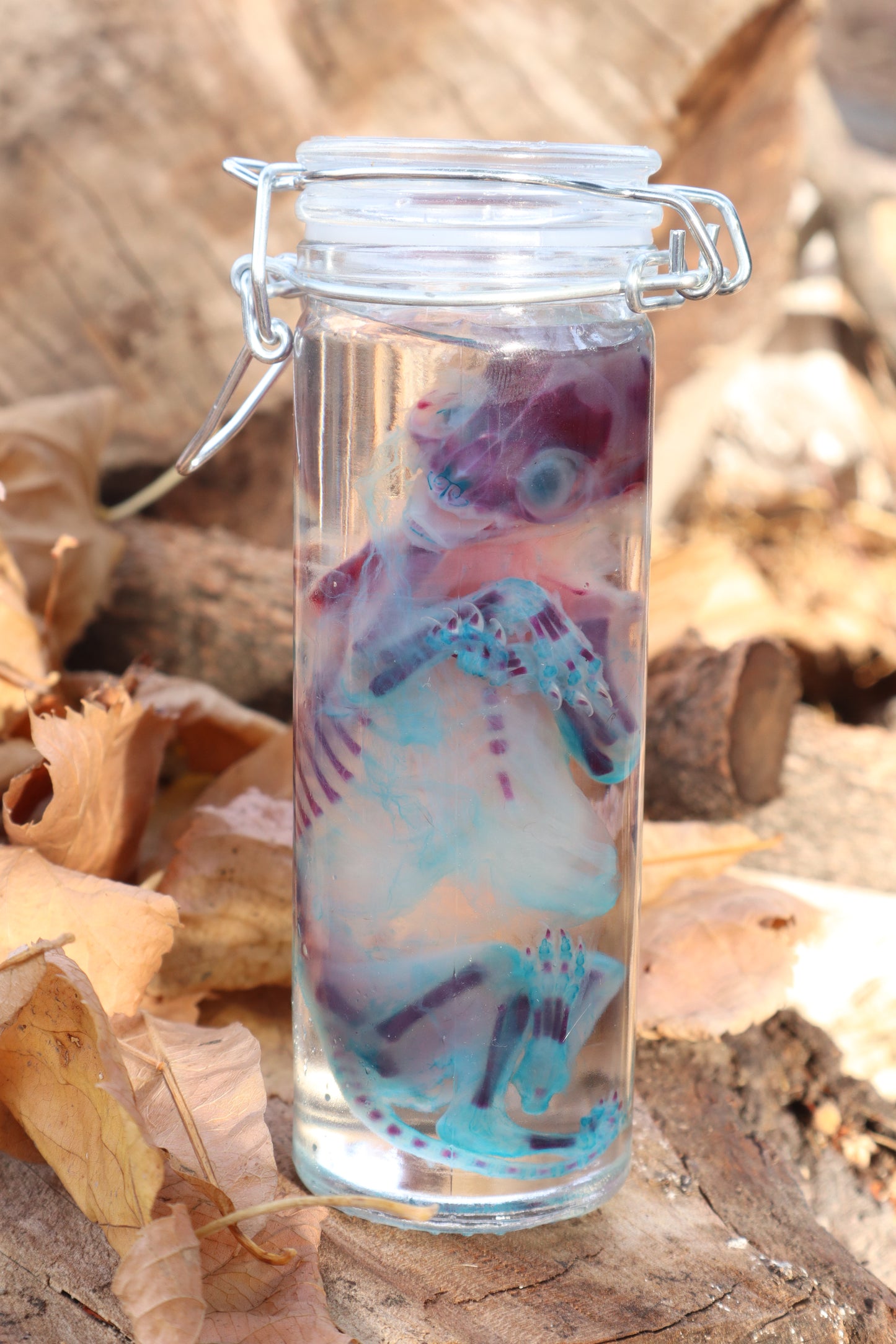 Diaphonized Fetal Kitten