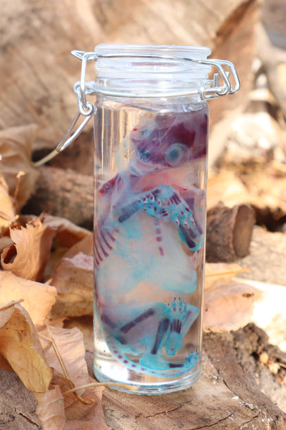 Diaphonized Fetal Kitten