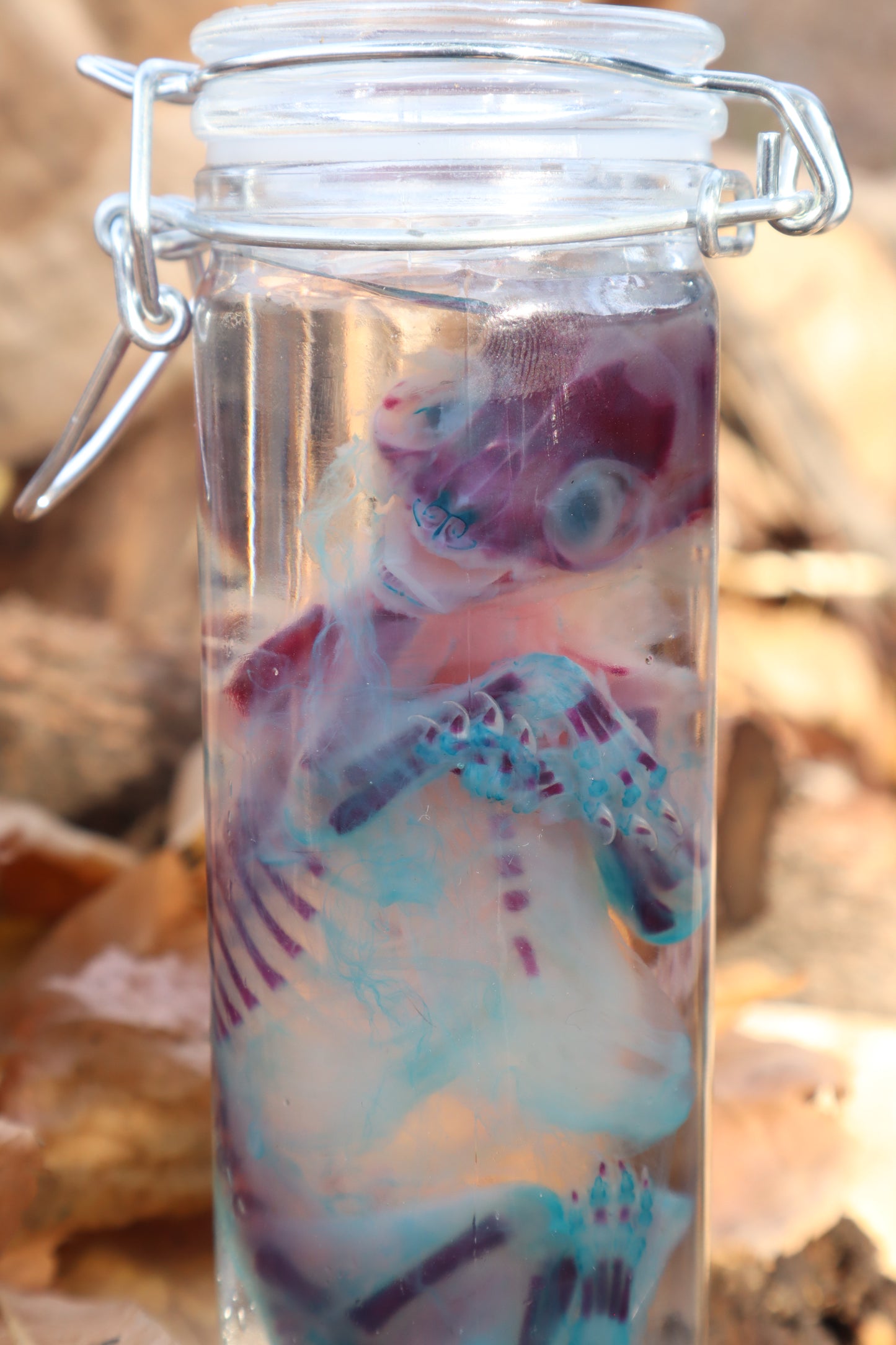 Diaphonized Fetal Kitten
