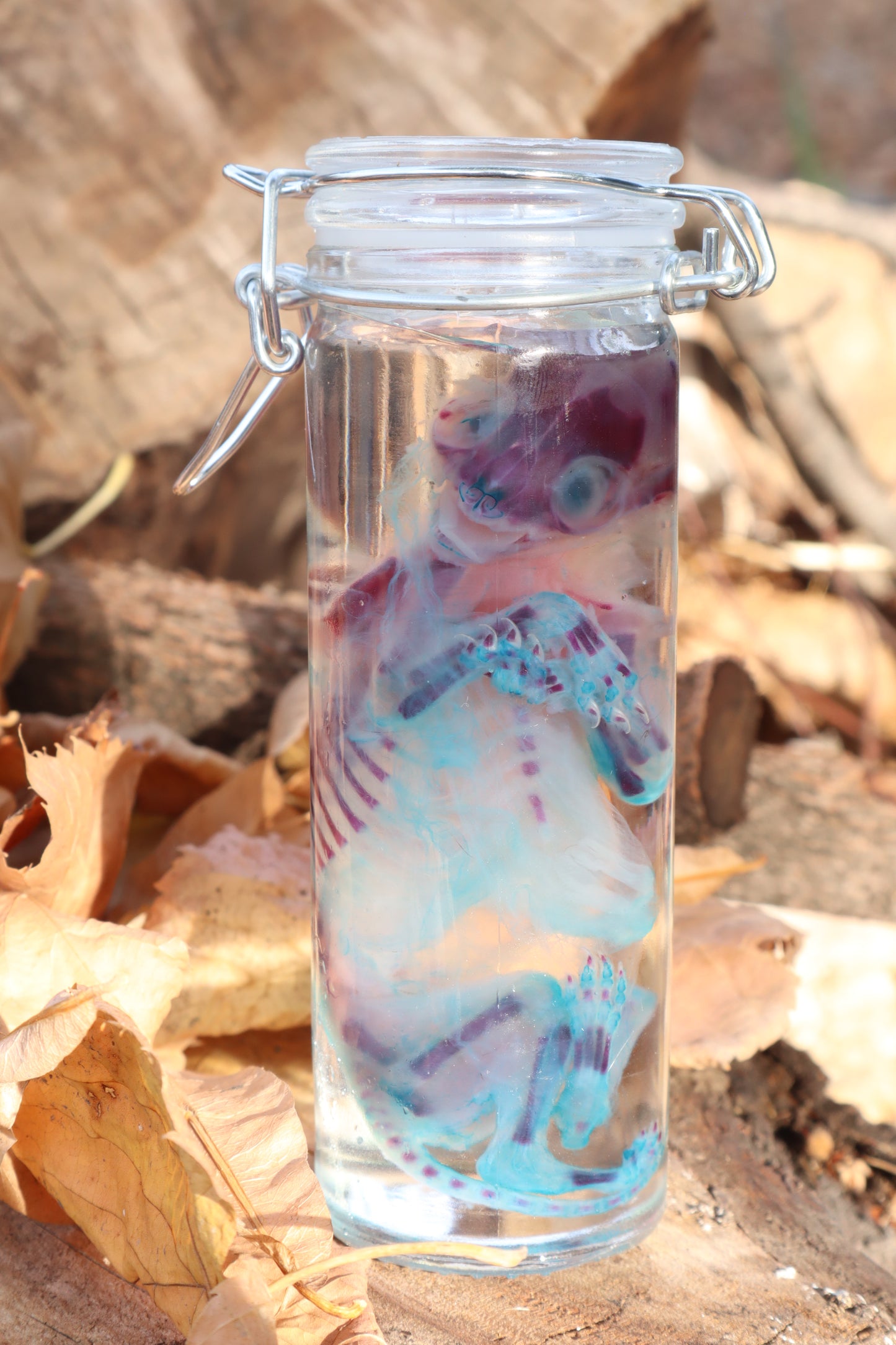 Diaphonized Fetal Kitten