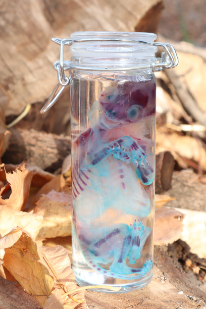 Diaphonized Fetal Kitten
