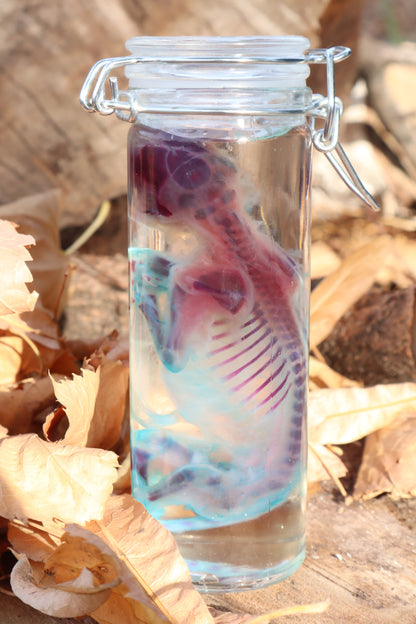 Diaphonized Fetal Kitten