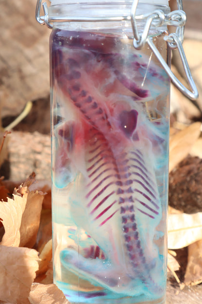 Diaphonized Fetal Kitten