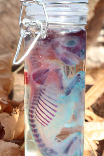 Diaphonized Fetal Kitten