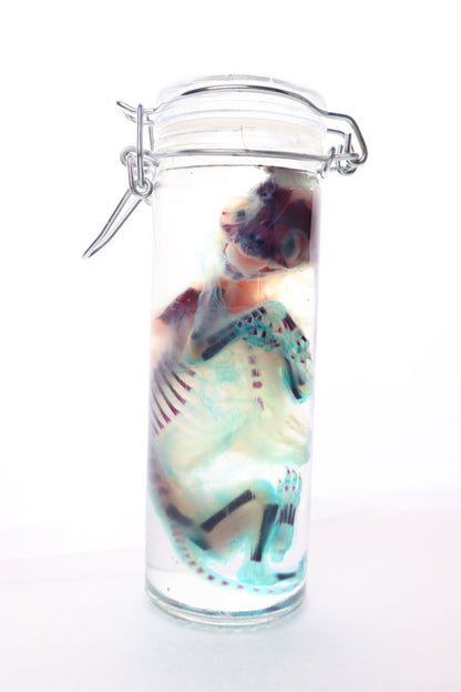 Diaphonized Fetal Kitten