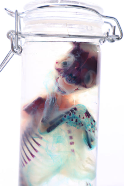 Diaphonized Fetal Kitten