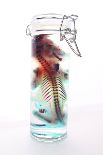 Diaphonized Fetal Kitten