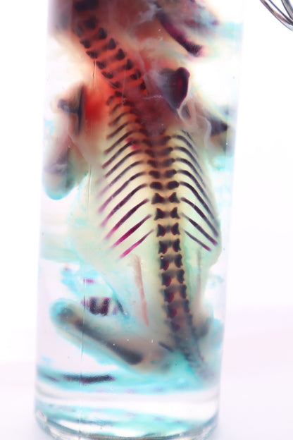 Diaphonized Fetal Kitten