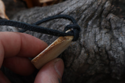Nature's Wrath - Horse Bone Talisman