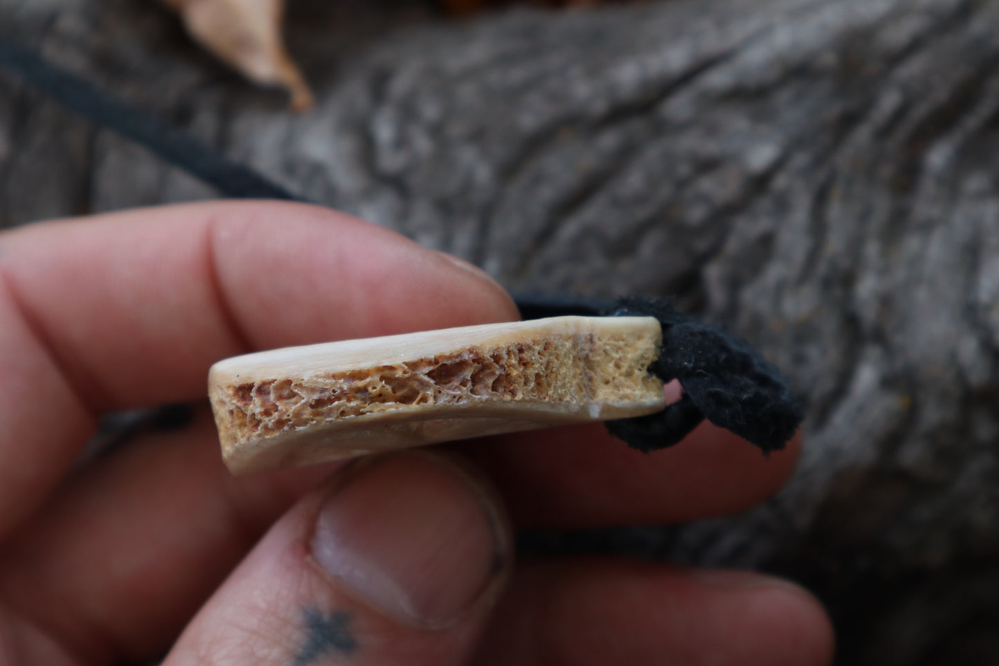 Nature's Wrath - Horse Bone Talisman