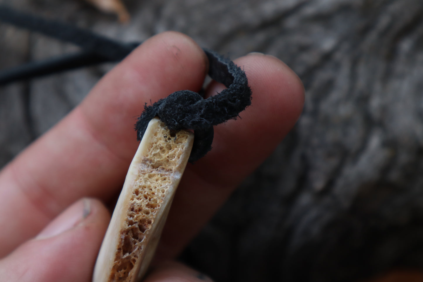 Nature's Wrath - Horse Bone Talisman