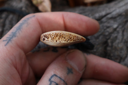 Nature's Wrath - Horse Bone Talisman