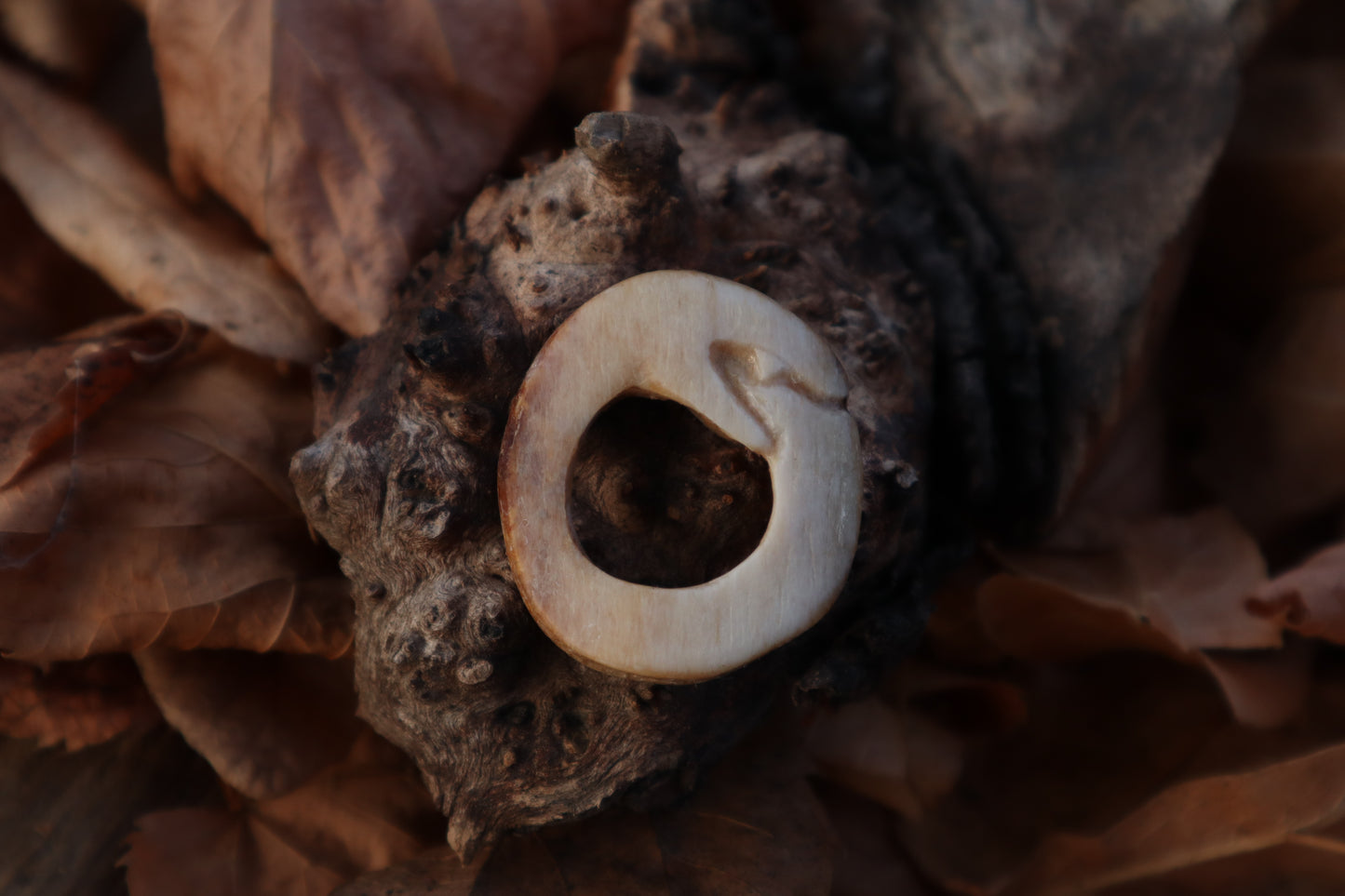 Ouroboros Horse Bone Trinket