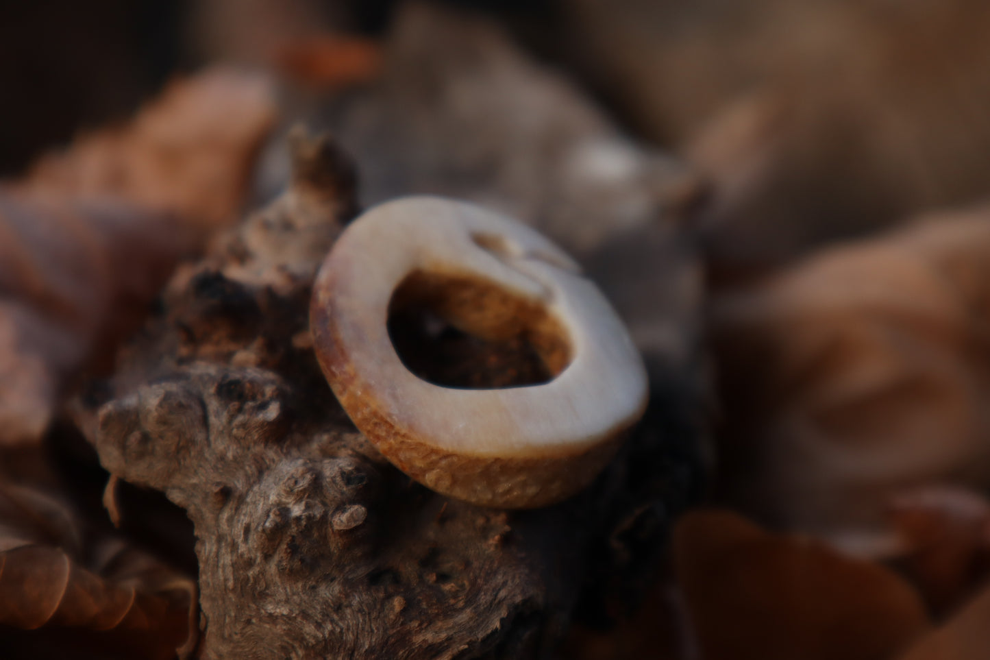 Ouroboros Horse Bone Trinket