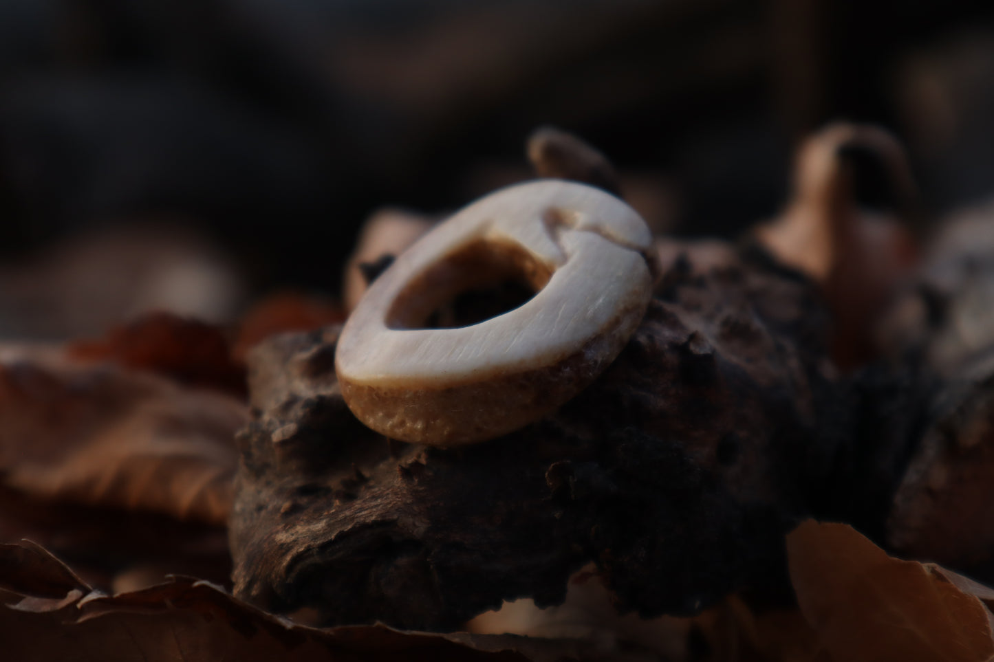Ouroboros Horse Bone Trinket