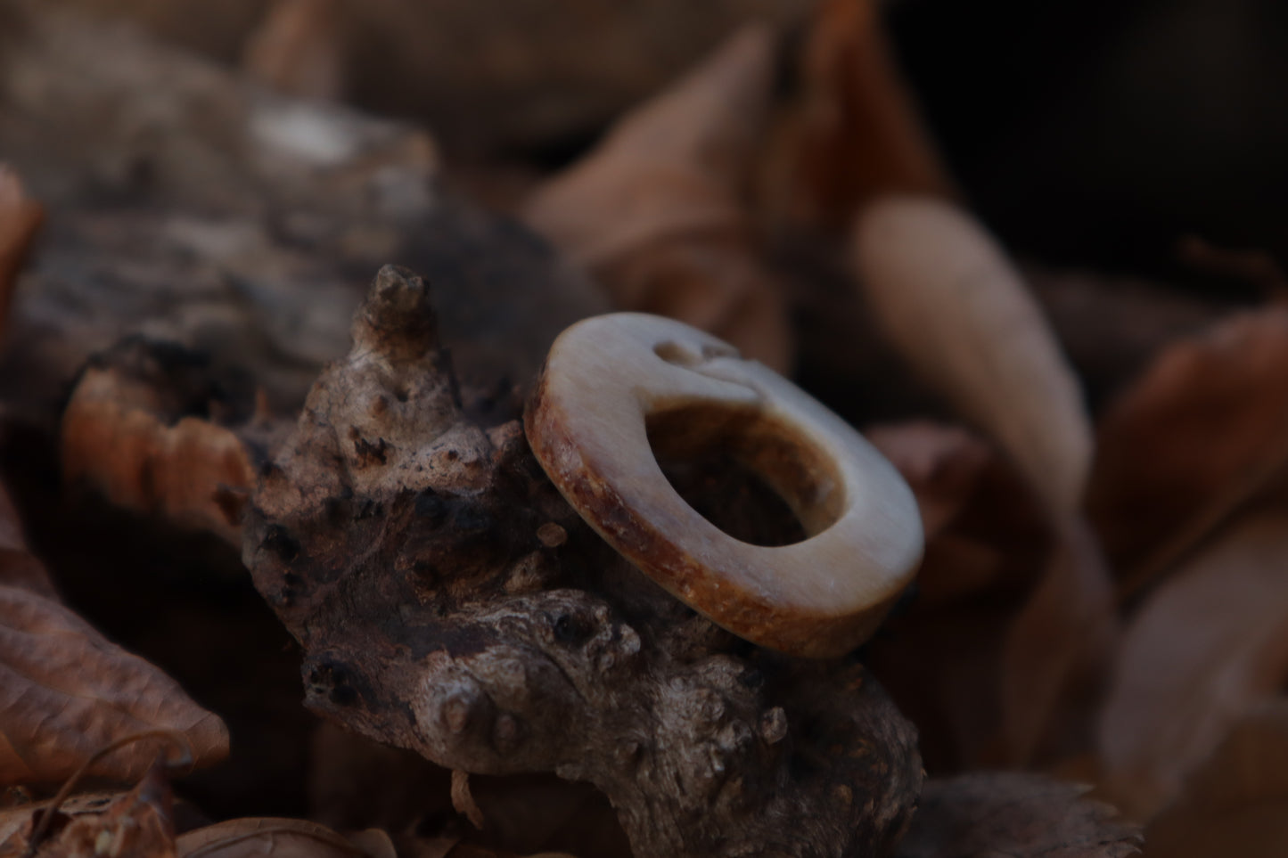 Ouroboros Horse Bone Trinket