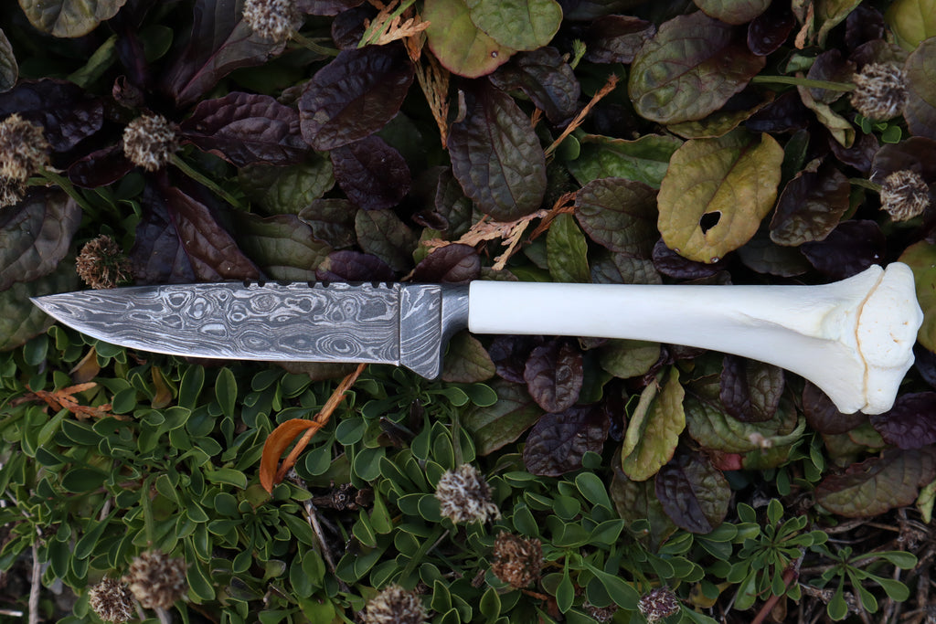 Damascus Whitetail Fawn Tibia Knife